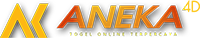 ANEKA4D